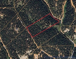 194 (A) Road b Unit 5A, Pine, CO 80470