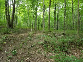 0 Indian Springs Rd Off Unit 1735851, Pegram, TN 37143