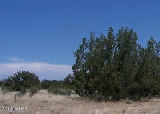 Sec25 T15n R15e: Ne4 Se4 -- Unit 23, Heber, AZ 85928