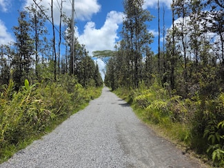 0 Road 7 (Opeapea) Unit 720799, Mountain View, HI 96760