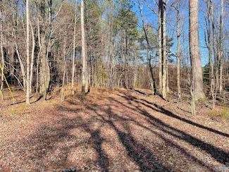 ooo Robinson Rd, Gallant, AL 35972