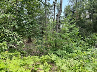 4649 Wah Soo Dr, Gaylord, MI 49735