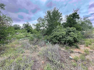 Lot 249 Cactus, Kingsland, TX 78639