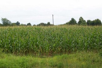 00 Hubert Rd, Hickory, KY 42051
