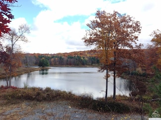 6 Stonegate Off Birch Hill Rd, Copake, NY 12521