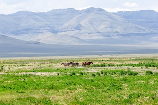 0 U S Route 95, McDermitt, NV 89421