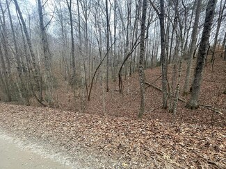 Lot 1456 Pasha Dr, Ellijay, GA 30540