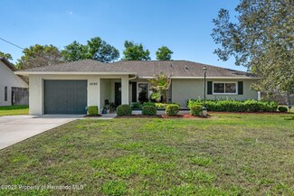 10193 Horizon Dr, Spring Hill, FL 34608