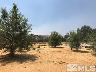 1300 Nannette Cir, Reno, NV 89502
