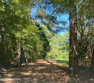 310 Mississippi 305, Mineral Wells, MS 38654
