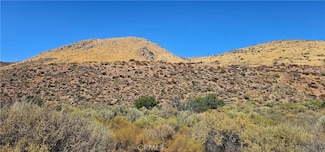 0 Vac Soledad Pass Drt Vic Hill Unit SR24147017, Acton, CA 93510