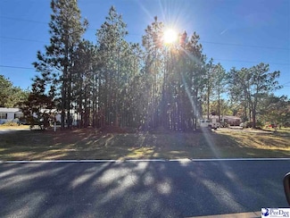 Lot 84 Holly Ave, McBee, SC 29101
