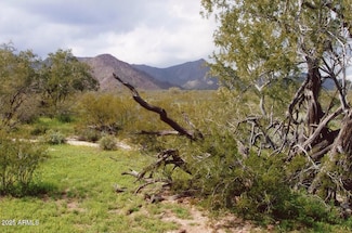 0 Vekol -- Unit 6864028, Maricopa, AZ 85139