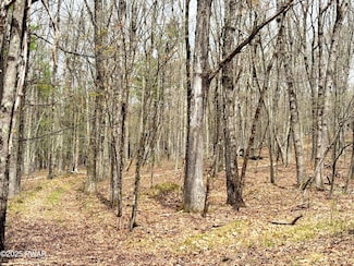 27 Ledgecrest Rd, Lackawaxen Township, PA 18428