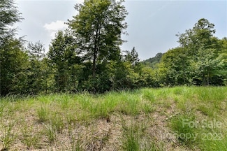 441 the Vines Blvd Unit 15, Marshall, NC 28753