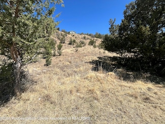 L30 B2 Little Big Horn Rd, Alto, NM 88312
