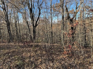lot 21 Bent Tree, Monterey, TN 38574