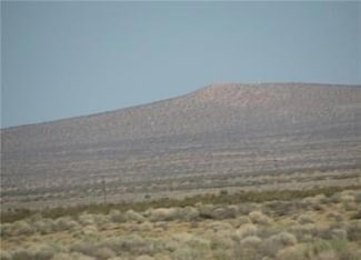 0 0542011710000 Unit 24007298, Newberry Springs, CA 92365
