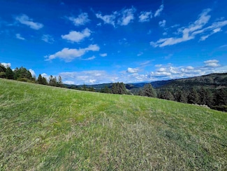 TBD Dent Bridge Rd, Orofino, ID 83541