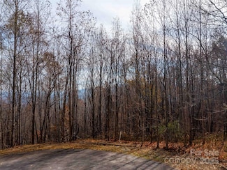 242 Nottingham Dr, Mill Spring, NC 28756