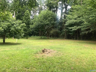 Lots 20 & 21 Moneys Bend Section 5, Cedar Bluff, AL 35959