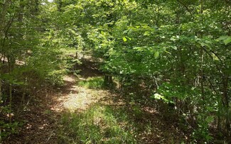 LT 16 Wolf Creek Estate, Mineral Bluff, GA 30559