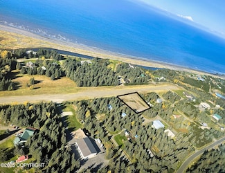 33699 Granross St, Anchor Point, AK 99556