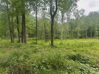 8125 Van Buren Rd, Saulsbury, TN 38067