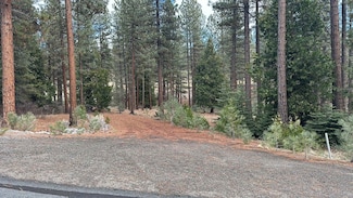 334 Big Grizzly, Portola, CA 96122