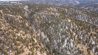 3388-3410 N Mountain Estates Rd, Florissant, CO 80816