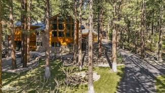 1445 Austrian Pine Rd, Reno, NV 89511