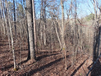 LT1906 Finale St, Talking Rock, GA 30175