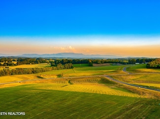 Lot 71 Vista Ridge Dr, White Pine, TN 37890