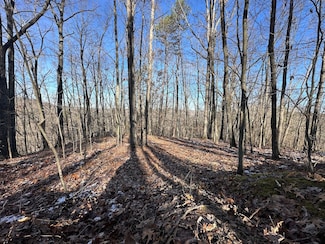 0 McComas Branch Rd Unit Lot WP001 22409735, Branchland, WV 25506