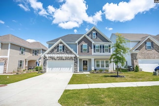 1332 Tamarind Ln, Chapin, SC 29036