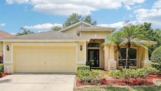10150 Heather Sound Dr, Tampa, FL 33647