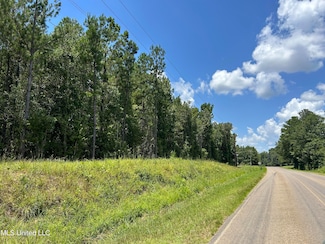 Tbd Hwy 570 River Road N and S, Summit, MS 39666