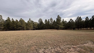 TBD W Argyle Rd Unit Tract3, Custer, SD 57730