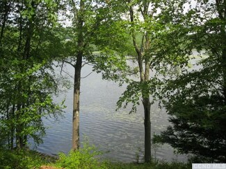 14 Cedar Dr, Pine Plains, NY 12567