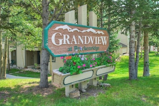 1001 Grandview Dr Unit 22, Breckenridge, CO 80424
