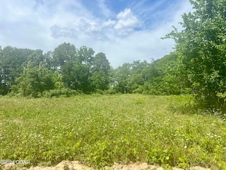 Lot 4 Hwy 112, Cassville, MO 65625