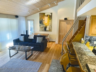 935 E Hopkins Ave, Aspen, CO 81611