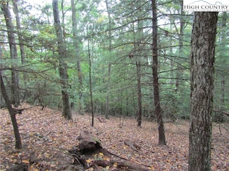 TBD Jobs Rd, Laurel Springs, NC 28644