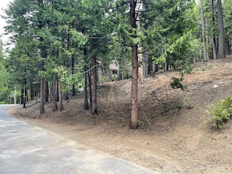 5175 Hokan Cir, Dorrington, CA 95223