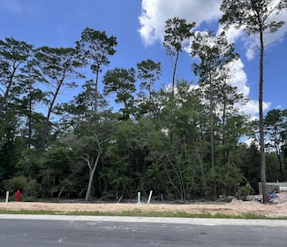 239 Foxglove Run, Niceville, FL 32578