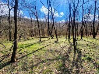0 Kings Creek Rd Unit 138767, Weirton, WV 26062