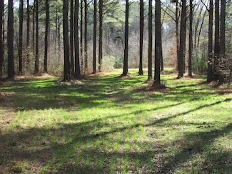 0 Hwy 43 Unit 22320204, Canton, MS 39046