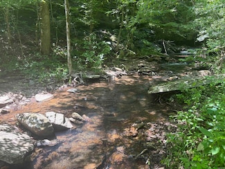 000 Chimney Rock, Shirley, AR 72153