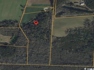 160 Joey Ln, Conway, SC 29526