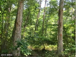 11438 Park Dr, Fairfax, VA 22030